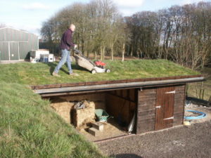 Mowing the Stable Roof