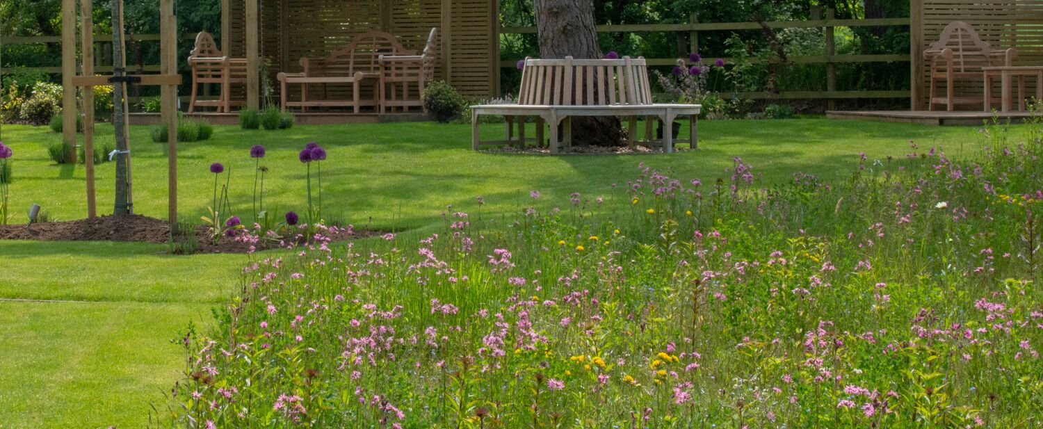 A Kenilworth garden design completed with Wildflowers Wildflower Turf
