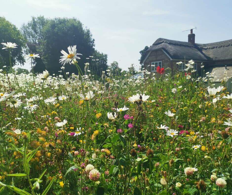 Beautiful meadows in a private Hampshire garden 