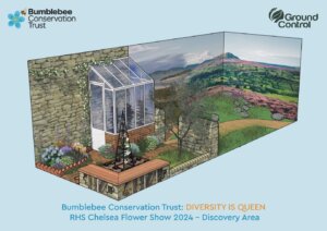 Bumble Bee conservation trust drawing on cheslea flow show exhibition 